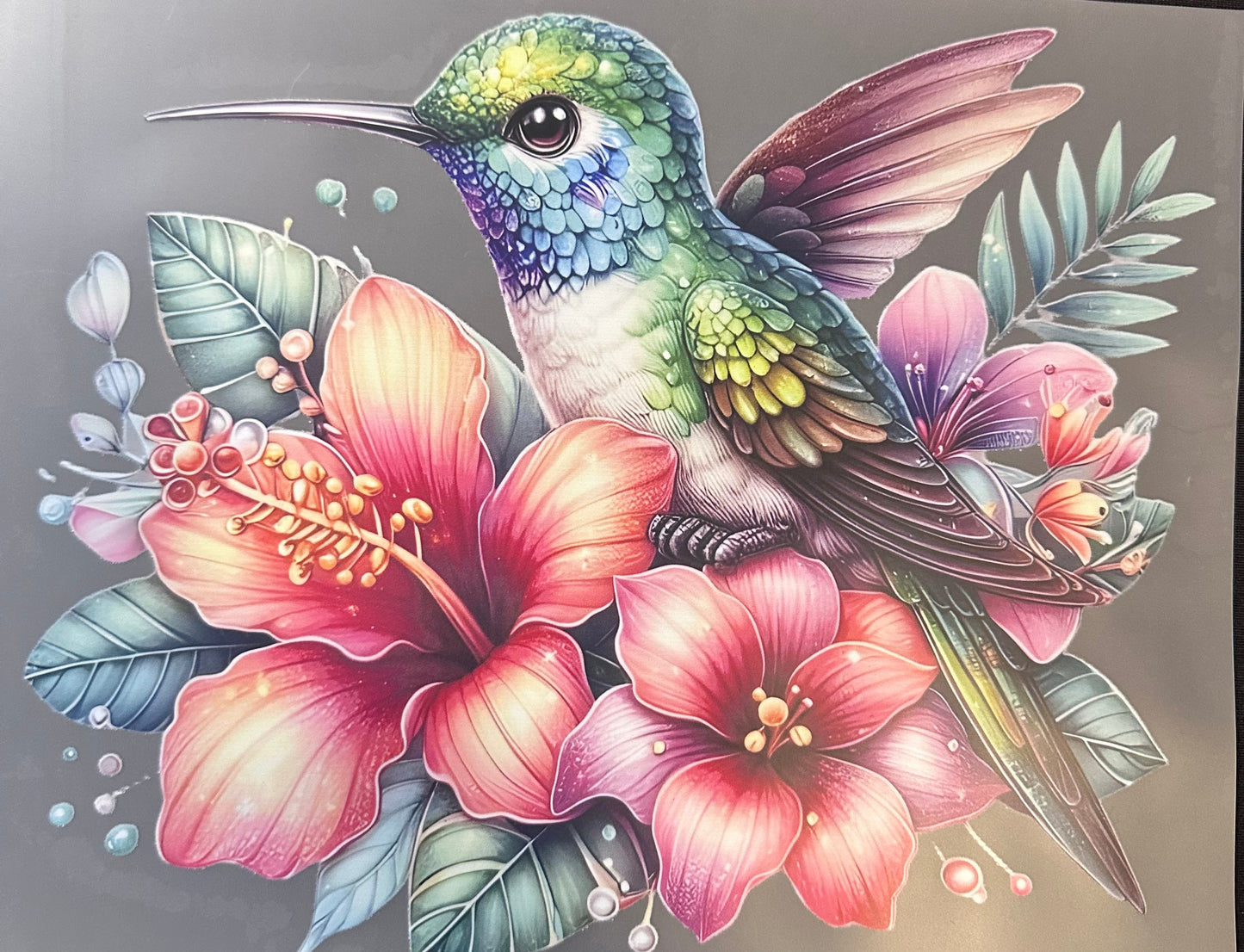 #299a Hummingbird