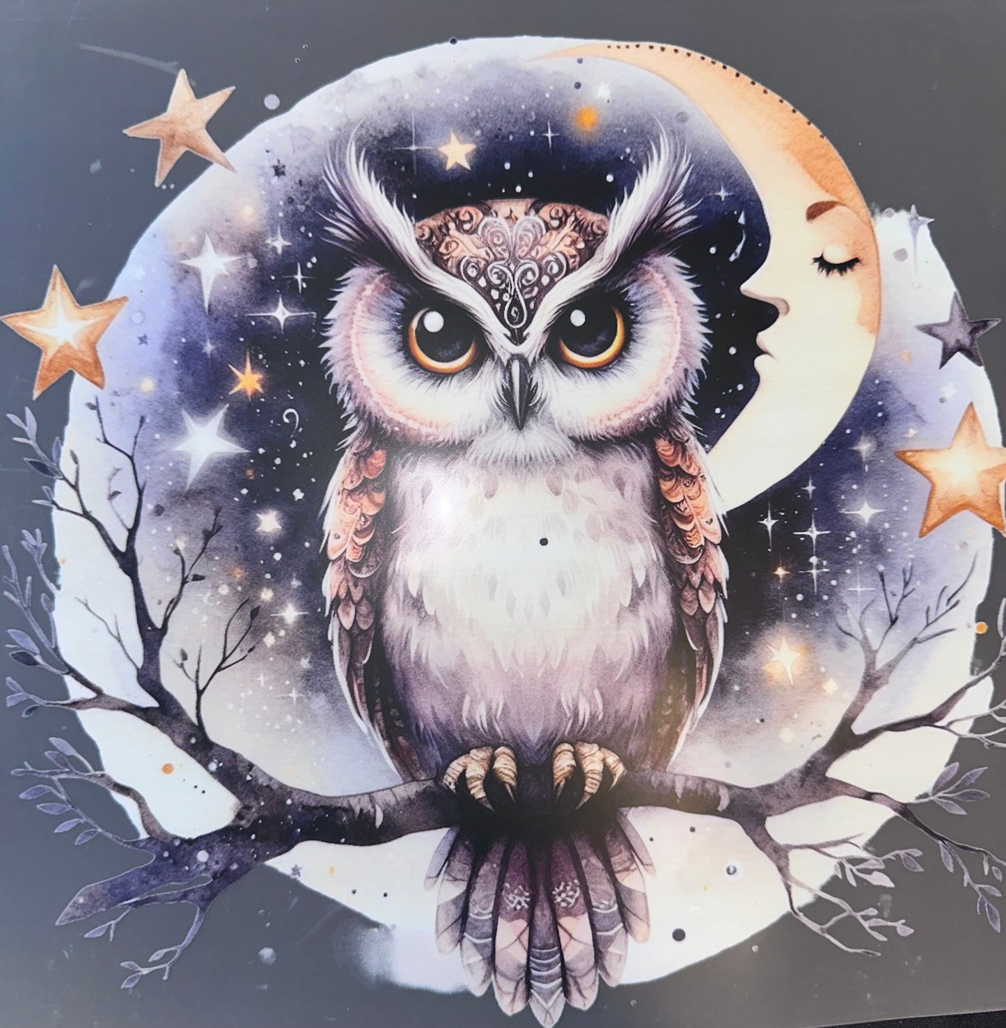 #970 Owl