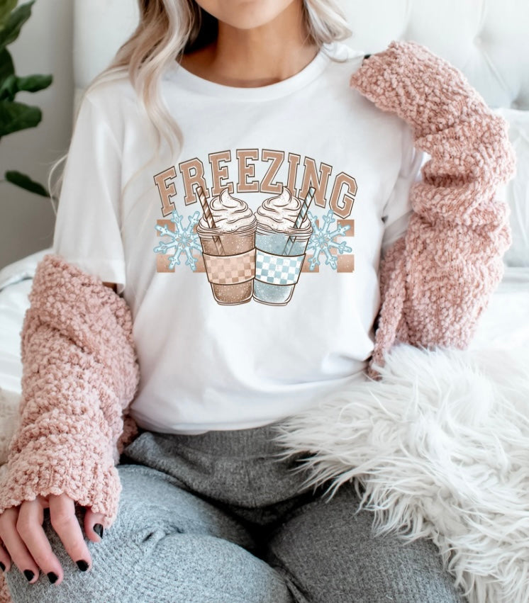 #317a Freezing