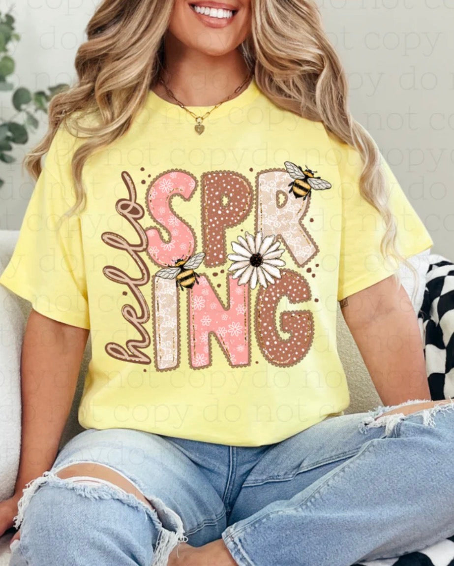 #584a Hello spring