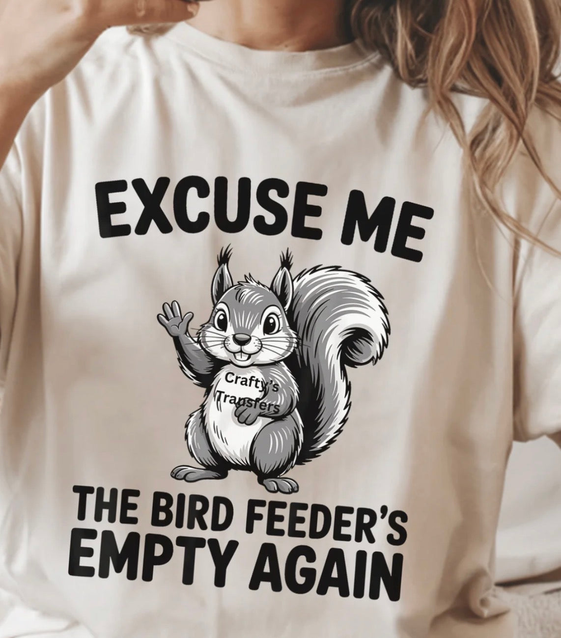 #699a Excuse me bird feeders empty