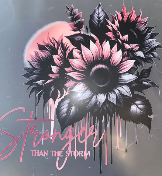 #963 Stronger than the storm
