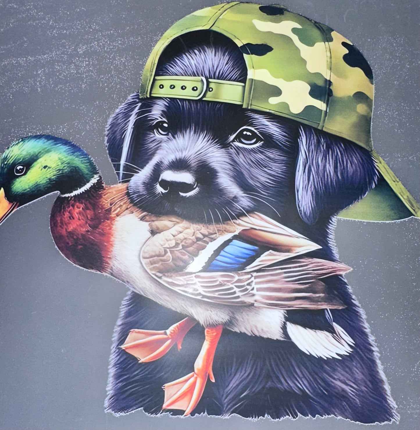 #880 Lab with Duck