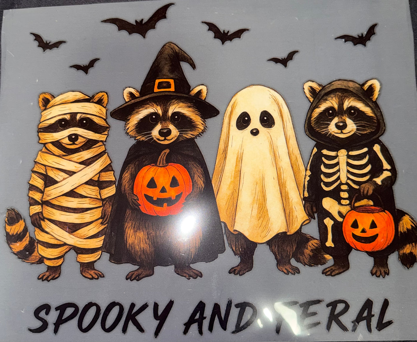 #1174a Spooky and feral