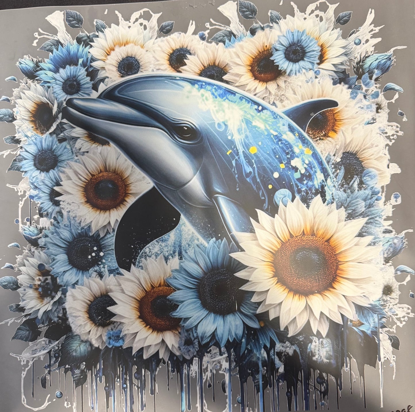 #537a Dolphin