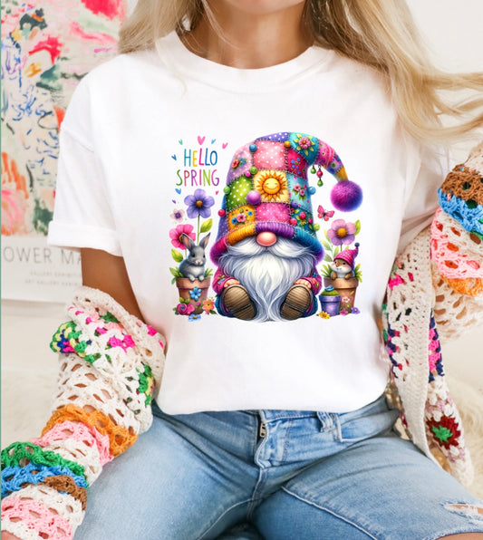 #555a Hello spring gnome