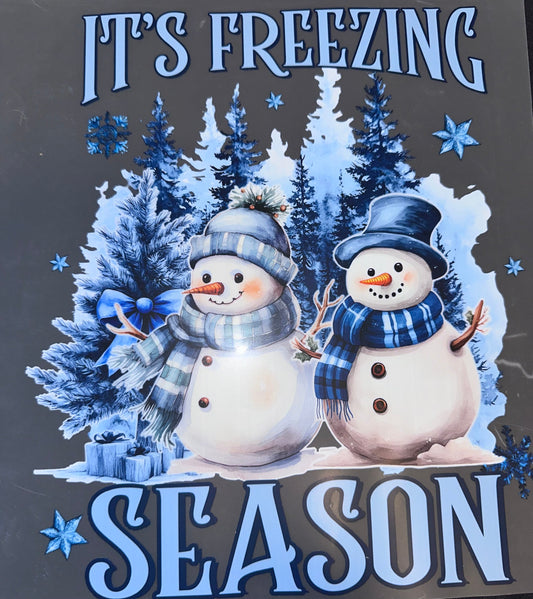 #1071 It’s freezing season