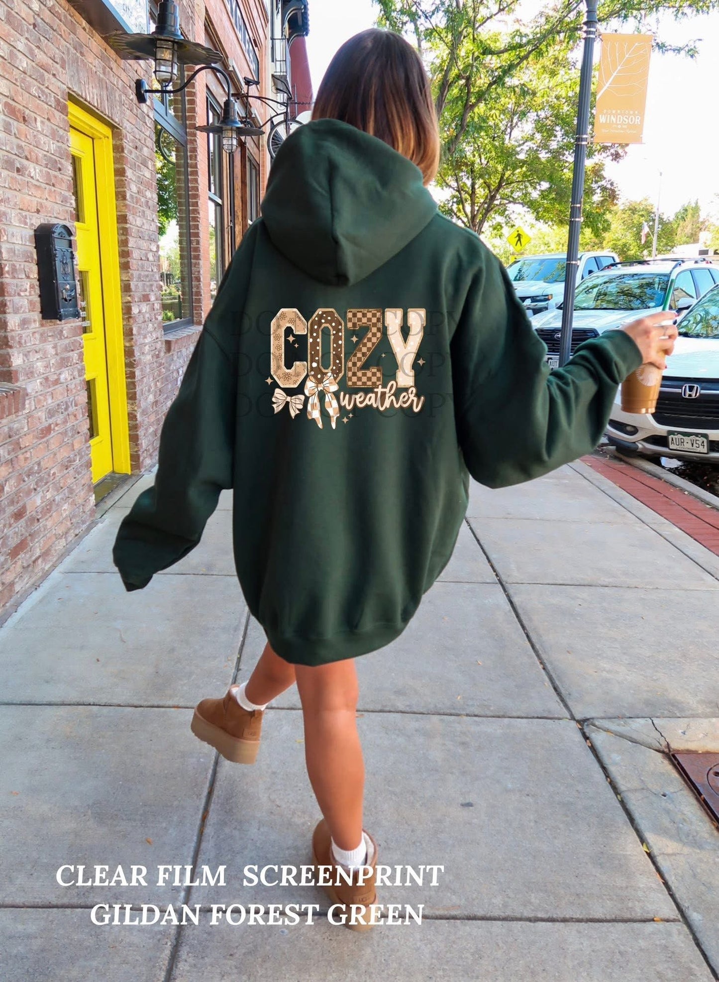 #223a Cozy weather