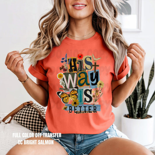#735a His way is better