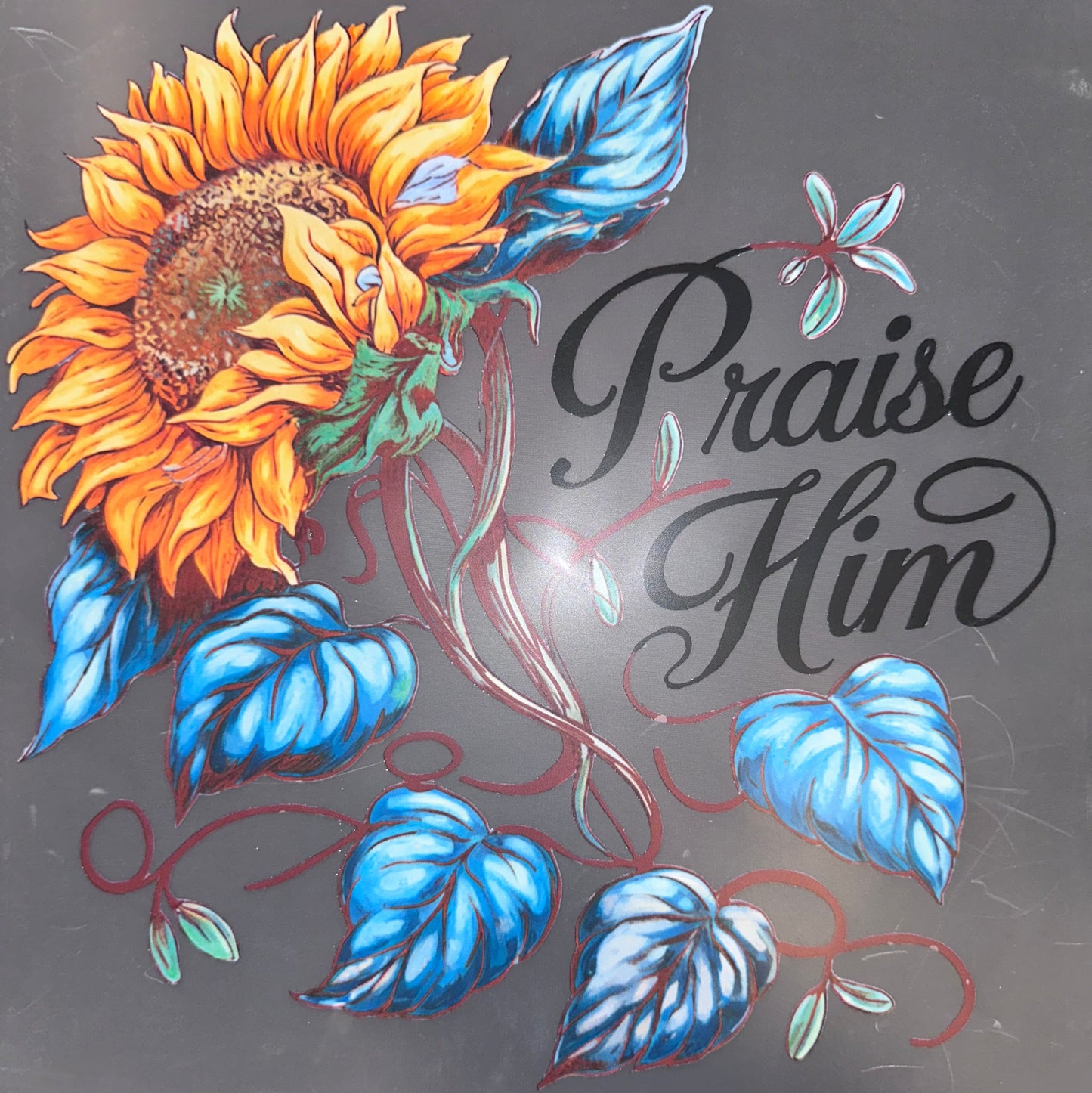 #1080 Praise him