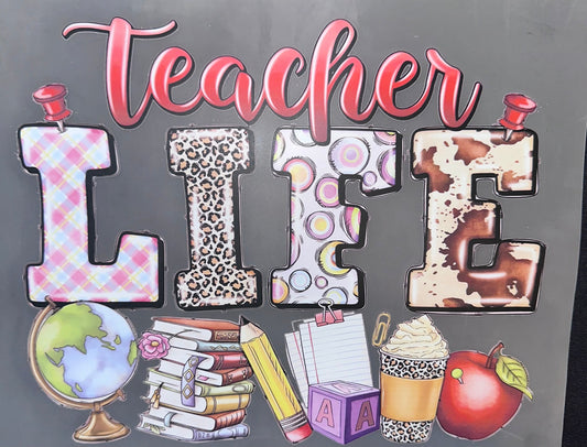 #1009 Teacher life