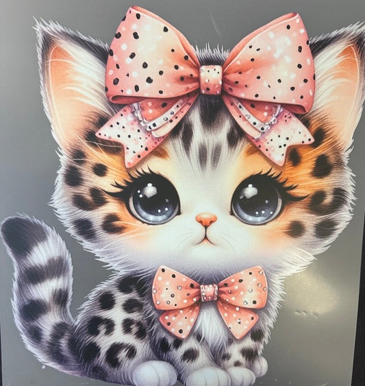 #168a Cute cat