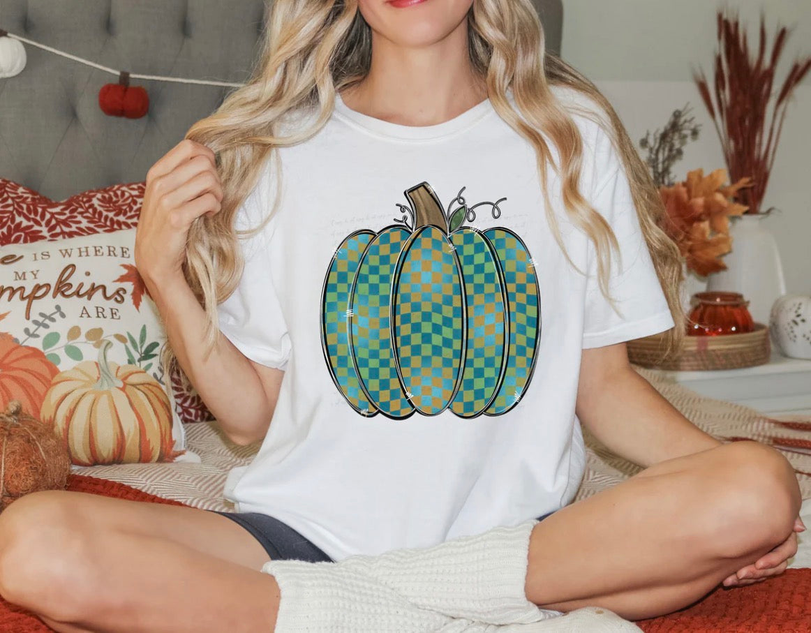 #1094a Checkered green pumpkin