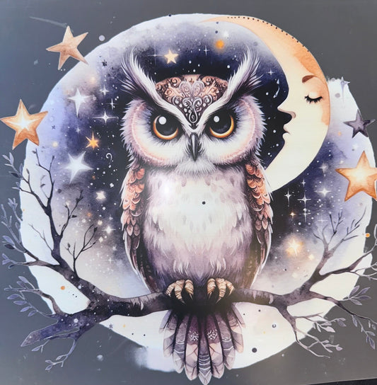 #970 Owl