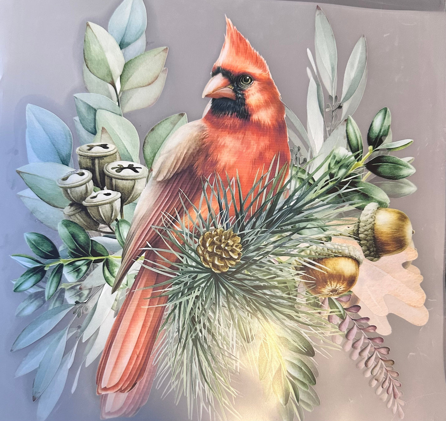 #162a Cardinal