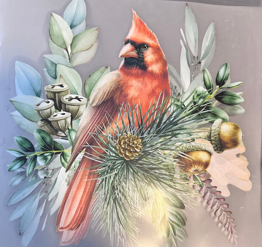 #162a Cardinal