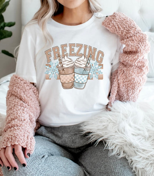#317a Freezing