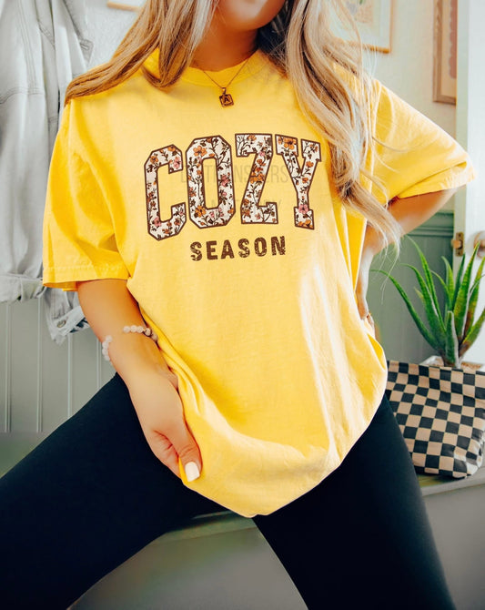 #647 Cozy season