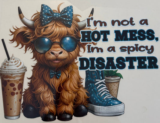 #12 Spicy Disaster
